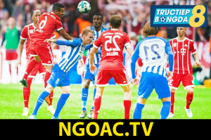 ngoac.tv