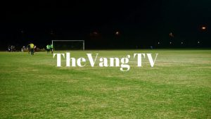 Thevang tv