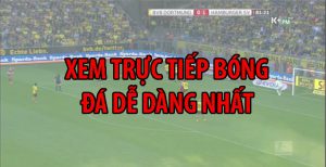 Tructiephd