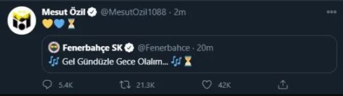 Mesut Ozil