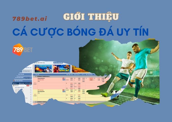 Trang cá cược bóng đá uy tín